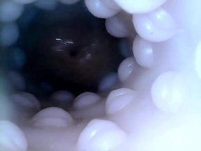 Internal closeup fucktoy
