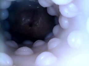 Internal closeup fucktoy