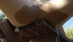 Jasmine Rogue: pissing in my Jeans outdoors