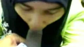 Shy Malay office lady in hijab blows my dick on cam