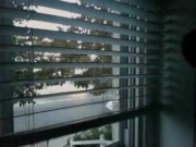 House window dick flashing