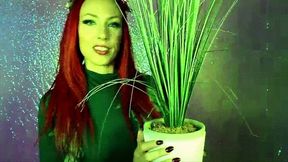 Poison Ivy Transforms You Into A Plant