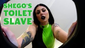 Shego's Toilet Slave - Princess Sydnie (HD1080p)