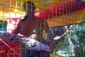 Sexxy Brandon: Bouncy Brandon