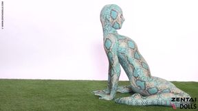 Ballerina in a Catsuit