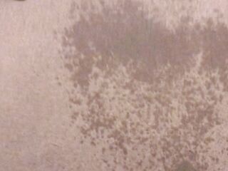 Pissing on my Bedroom Carpet in the Midst of the Night
