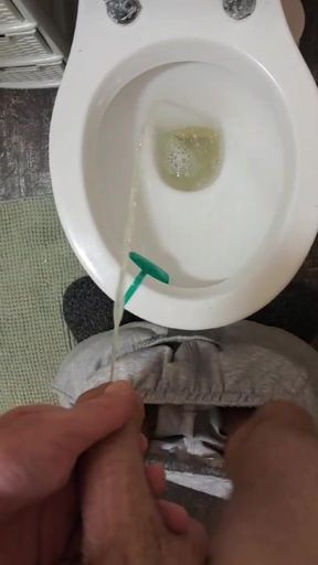 Pissing in the Toilet Compilation