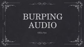 Burping Audio