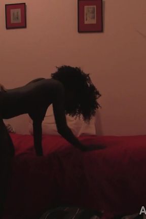 Real Homemade Amateur Sextape Between Ebony Hottie and European Tourist!