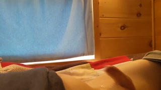 After 2 months of not cumming, I came from just humping the air! (no toy) (sorry for the bad angles)