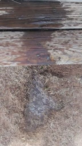 Sexy Step Mom Pissing Public