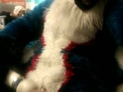 Quick little fursuit wanding vid