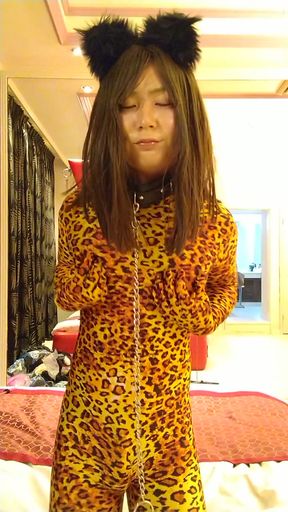 Japanese cd change leopard from black cat   Clip 2