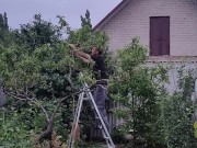 It's always nice to do something in the garden