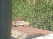 Sean pissing out a window