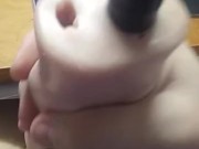 Im toys are broken