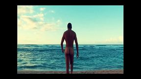 Polo Beach on the north shore of Oahu, Hawaii. I filmed this promo for my book at &quot_golden hour&quot_ in 2021. They wouldn'_t le ...