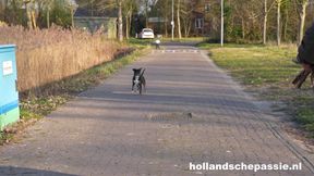 Nice, with Daphne Laat! - Hollandschepassie