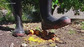 Old Fruit Crushed In Wellies