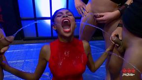 Hardcore Anal Party
