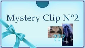 MYSTERY CLIP - n°2