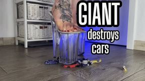 Giantess will crush you in your car - [FHD MOV] | Mistress Karino