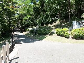 Walking in the Pattaya Jungle! Thailand