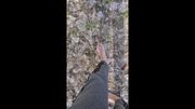 Caminando en el bosque