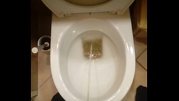 Piss in toilet