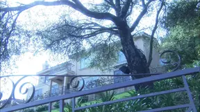 Smutty kitchen MILF takes a hardcore fucking