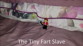 The Tiny Fart Slave