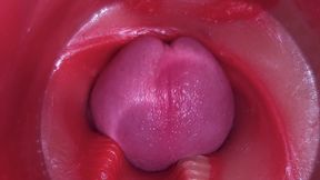 Super Cum in Vagina. Excellent Internal Camera