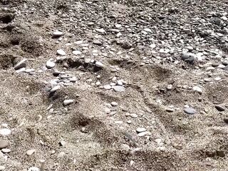 For These Who Love Legs, I’m Having Pleasure in the Sand.