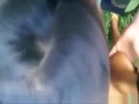 I love paying chicks to suck my cock in public