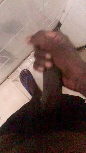 Sri Lankan Best Bull and Best Cock