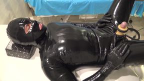 The House Slave Got His Homework Done While I Went to Play with My Lover! What Do You Think, Did You Fulfill Your Duties?