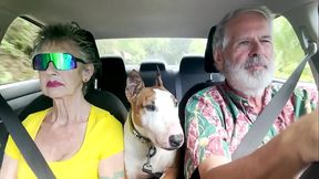 We love road trips -- which are difficult on Oahu, only 125 miles in circumference. In this video, we drive from the Wind ...