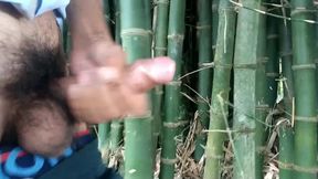 Indian Boy Cumming on Bamboo,handjob Cumshot