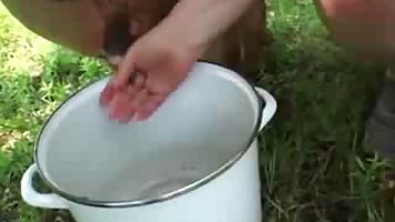 Chunky bulky farmer doxy gangbanged in paddock