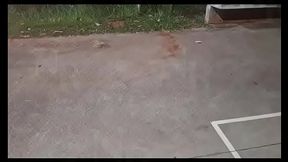 Arrebentando com muita for&ccedil_a a Bruna Santiny