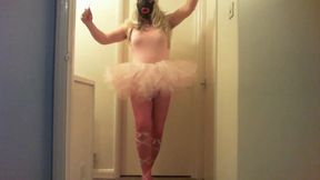 Dance of the Sugar Plum Fairy