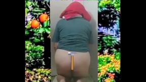 Zea812 - update #236 - 1000058064 - Jul 11, 2025