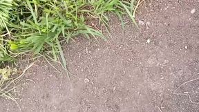 To get sister-in-law&amp;#039;s beautiful pussy, he went from house to field to get four katwans with him, brother-in-law fucked sis