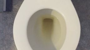 I PISS GOLD I WISH FOR FINANCIAL GAIN DAILY
