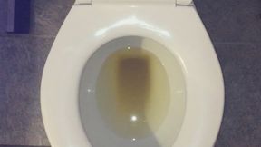 GOLD PEE IN MY TOILET UR WISH IS GRANTED