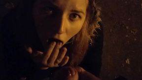 Collegegirl sucked on the street near the house and got cum in her mouth