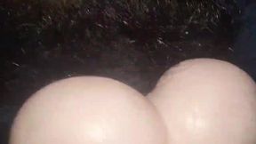 Real Family Homemade Fun