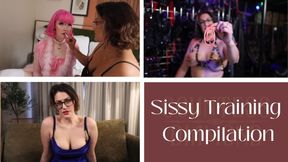 Sissy Training Compilation