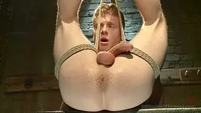 Cock And Hole Torment