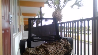 outdoor ventures at hotel (hopefully) either way its hotel ventures which includes, not a clue